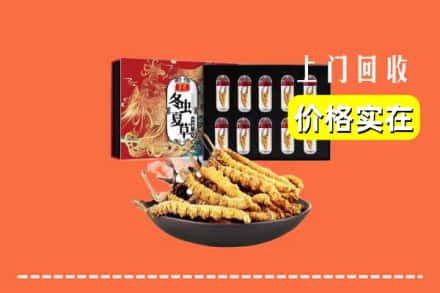 白山市回收冬虫夏草